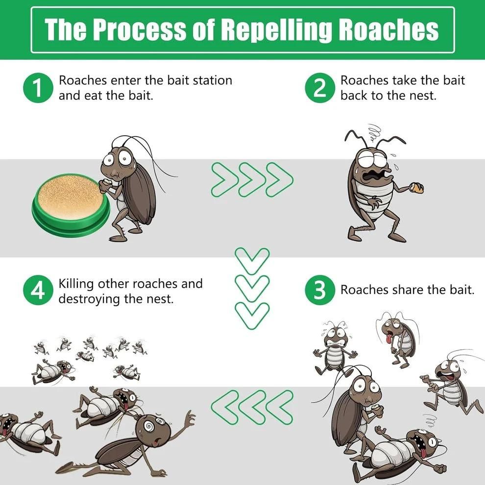 Cockroach Killer Powder Gel (Pack of 12pc)   BUY 1 GET 1 FREE!