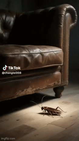 Cockroach Killer Powder Gel (Pack of 12pc)   BUY 1 GET 1 FREE!